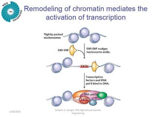 3/30/2016
Sarbesh D. Dangol, PhD Agricultural Genetic
Engineering
 