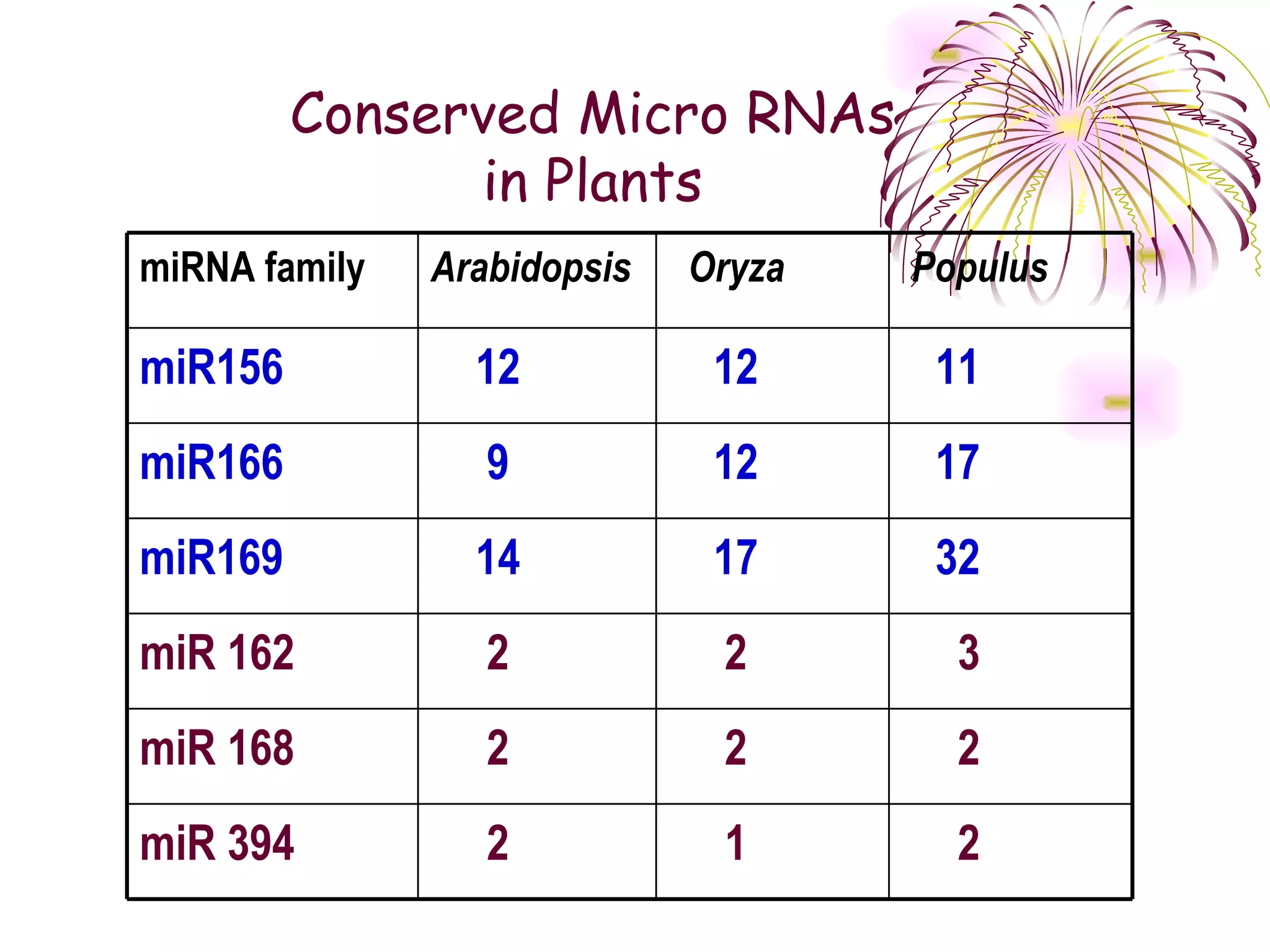 Conserved Micro RNAs
               in Plants
miRNA family   Arabidopsis   Oryza   Populus

miR156           12           12      11
miR166            9           12      17
miR169           14           17      32
miR 162           2           2        3
miR 168           2           2        2
miR 394           2           1        2
 