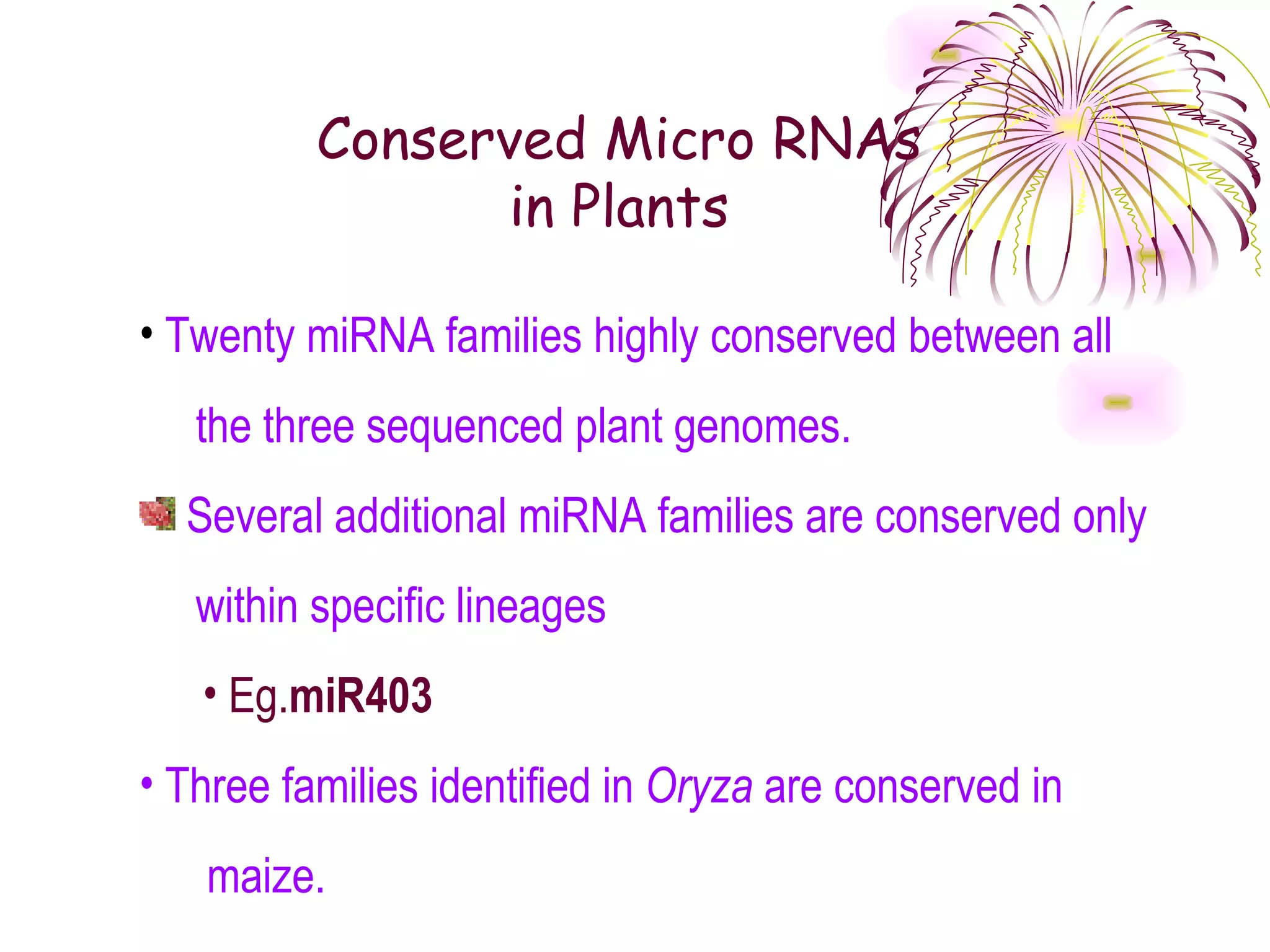 Conserved Micro RNAs
                in Plants

• Twenty miRNA families highly conserved between all
   the three sequenced plant genomes.
  Several additional miRNA families are conserved only
   within specific lineages
   • Eg.miR403
• Three families identified in Oryza are conserved in
   maize.
 