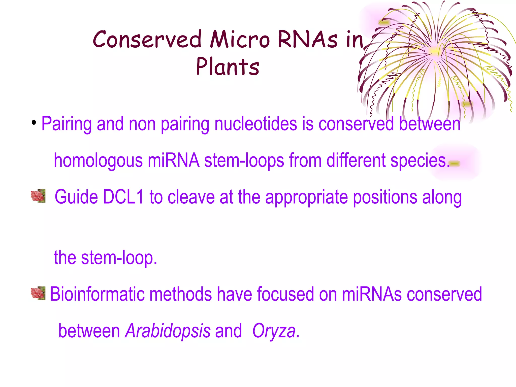 Conserved Micro RNAs in
                 Plants

• Pairing and non pairing nucleotides is conserved between
   homologous miRNA stem-loops from different species.
   Guide DCL1 to cleave at the appropriate positions along


   the stem-loop.
  Bioinformatic methods have focused on miRNAs conserved
   between Arabidopsis and Oryza.
 
