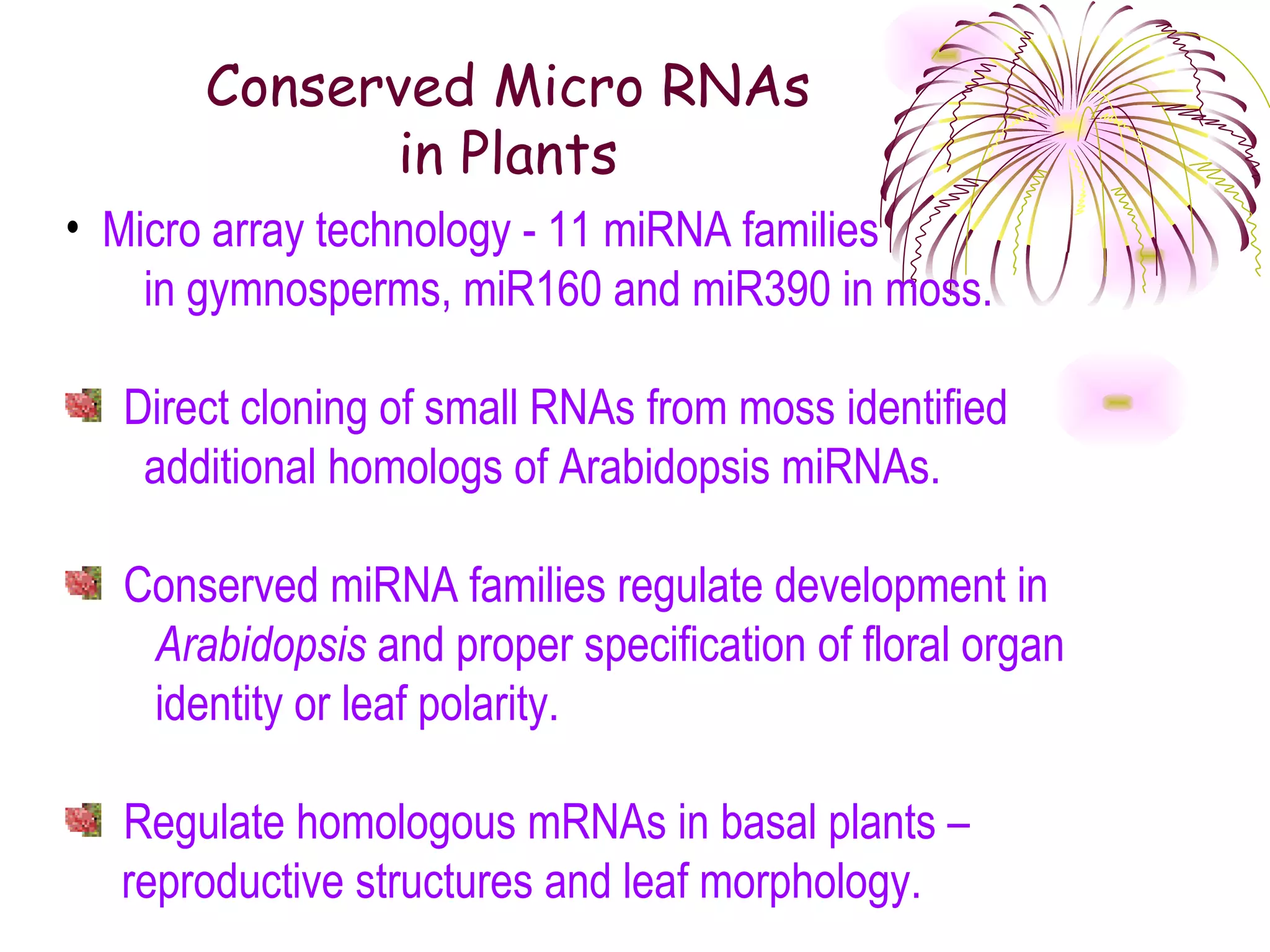Conserved Micro RNAs
            in Plants
• Micro array technology - 11 miRNA families
    in gymnosperms, miR160 and miR390 in moss.

  Direct cloning of small RNAs from moss identified
   additional homologs of Arabidopsis miRNAs.

  Conserved miRNA families regulate development in
   Arabidopsis and proper specification of floral organ
   identity or leaf polarity.

  Regulate homologous mRNAs in basal plants –
  reproductive structures and leaf morphology.
 