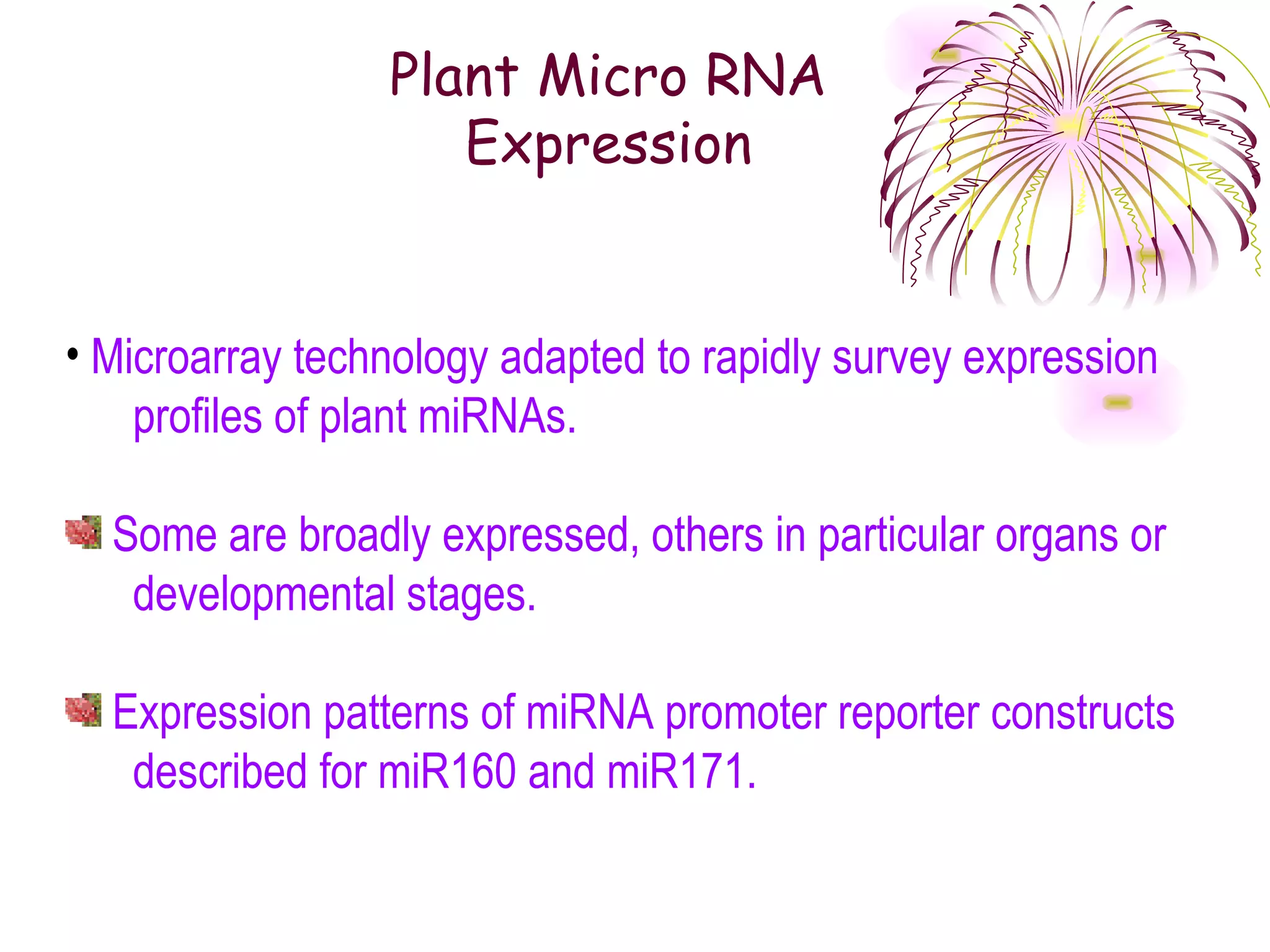 Plant Micro RNA
                    Expression


• Microarray technology adapted to rapidly survey expression
    profiles of plant miRNAs.

  Some are broadly expressed, others in particular organs or
   developmental stages.

  Expression patterns of miRNA promoter reporter constructs
   described for miR160 and miR171.
 