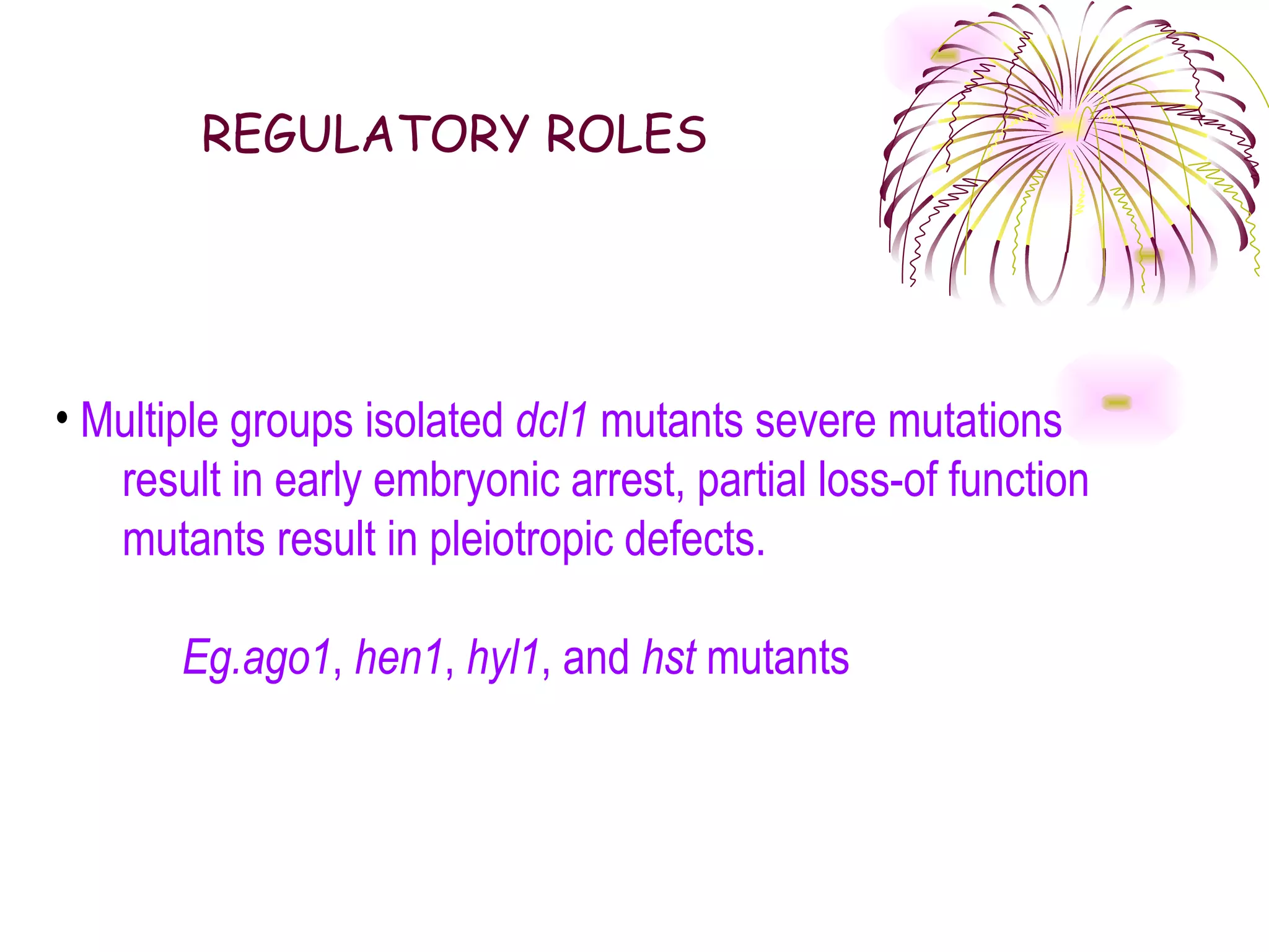 REGULATORY ROLES




• Multiple groups isolated dcl1 mutants severe mutations
   result in early embryonic arrest, partial loss-of function
   mutants result in pleiotropic defects.

       Eg.ago1, hen1, hyl1, and hst mutants
 