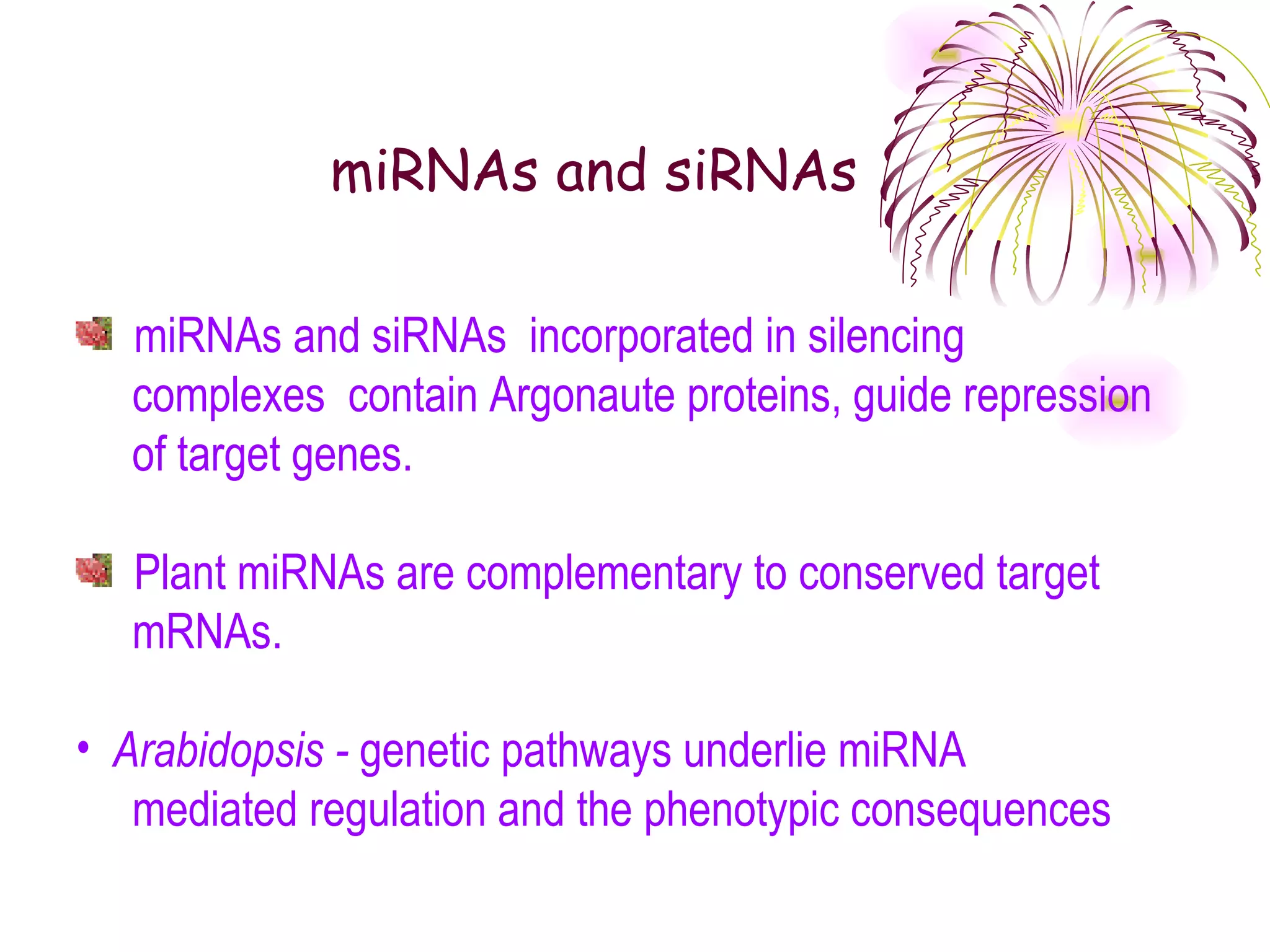 miRNAs and siRNAs

  miRNAs and siRNAs incorporated in silencing
  complexes contain Argonaute proteins, guide repression
  of target genes.

  Plant miRNAs are complementary to conserved target
  mRNAs.

• Arabidopsis - genetic pathways underlie miRNA
   mediated regulation and the phenotypic consequences
 