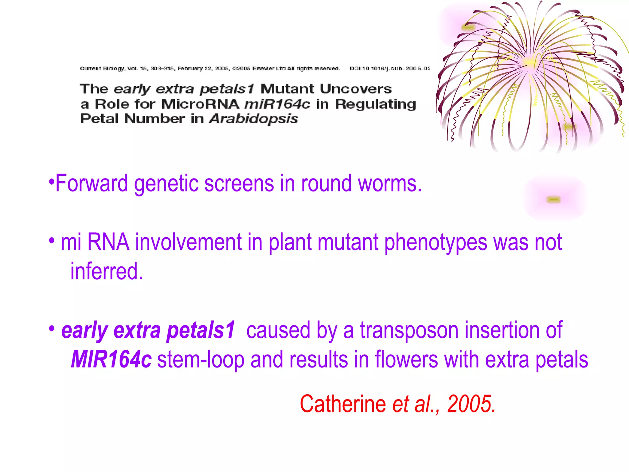 •Forward genetic screens in round worms.

• mi RNA involvement in plant mutant phenotypes was not
   inferred.

• early extra petals1 caused by a transposon insertion of
   MIR164c stem-loop and results in flowers with extra petals
                            Catherine et al., 2005.
 