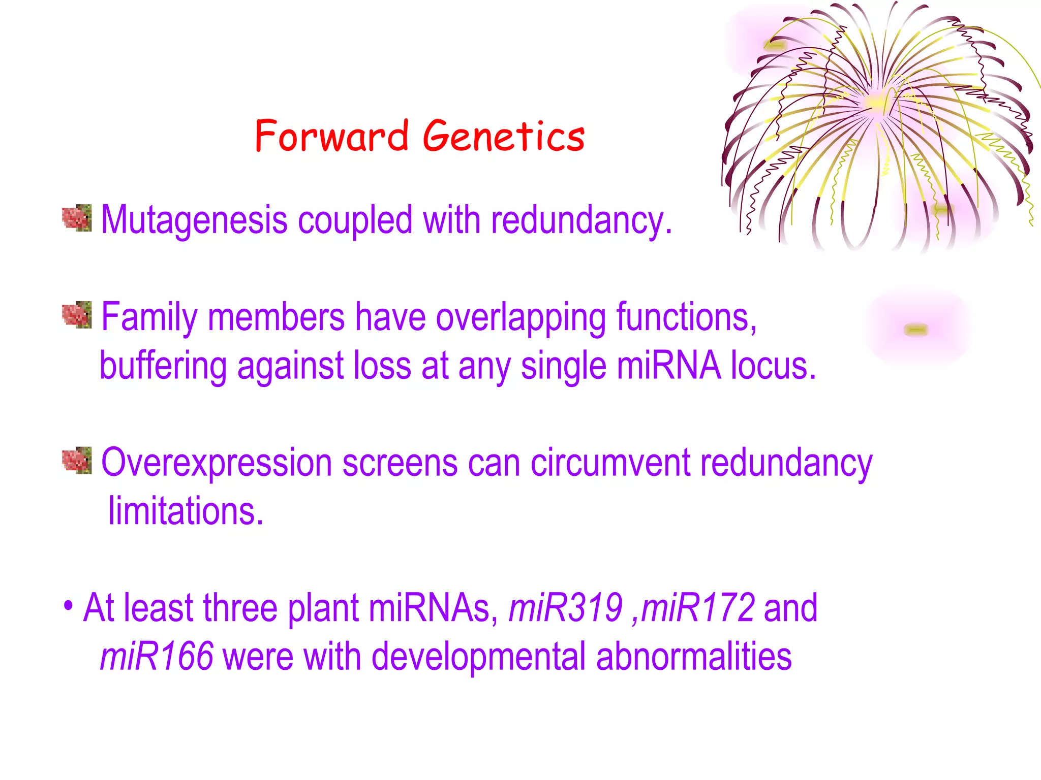 Forward Genetics

  Mutagenesis coupled with redundancy.

  Family members have overlapping functions,
  buffering against loss at any single miRNA locus.

  Overexpression screens can circumvent redundancy
  limitations.

• At least three plant miRNAs, miR319 ,miR172 and
   miR166 were with developmental abnormalities
 