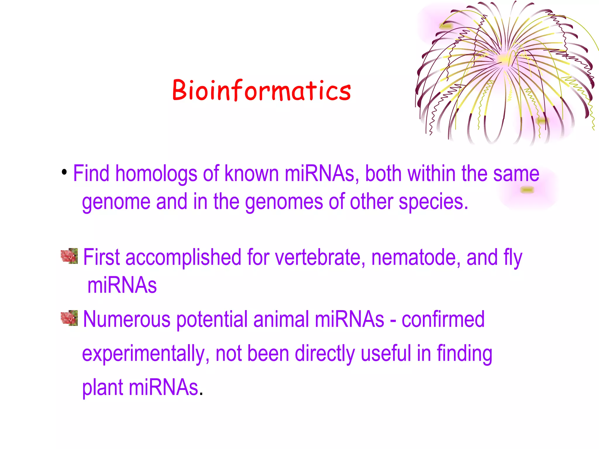 Bioinformatics


• Find homologs of known miRNAs, both within the same
   genome and in the genomes of other species.

  First accomplished for vertebrate, nematode, and fly
   miRNAs
  Numerous potential animal miRNAs - confirmed
  experimentally, not been directly useful in finding
  plant miRNAs.
 