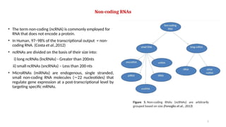 Micro RNAs biogenesis and mechanism of action.pptx