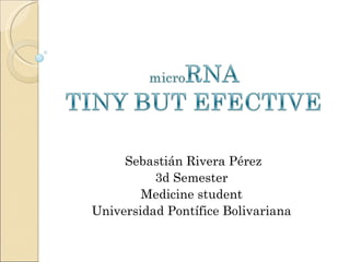 Sebastián Rivera Pérez 3d Semester Medicine student Universidad Pontífice Bolivariana 