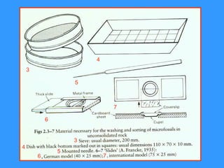 Micro Sample Task Micro sample preperation Micropaleontology | PPT