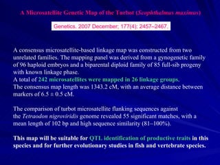 A Microsatellite Genetic Map of the Turbot (Scophthalmus maximus)

                Genetics. 2007 December; 177(4): 2457–2467.



A consensus microsatellite-based linkage map was constructed from two
unrelated families. The mapping panel was derived from a gynogenetic family
of 96 haploid embryos and a biparental diploid family of 85 full-sib progeny
with known linkage phase.
A total of 242 microsatellites were mapped in 26 linkage groups.
The consensus map length was 1343.2 cM, with an average distance between
markers of 6.5 ± 0.5 cM.

The comparison of turbot microsatellite flanking sequences against
the Tetraodon nigroviridis genome revealed 55 significant matches, with a
mean length of 102 bp and high sequence similarity (81–100%).

This map will be suitable for QTL identification of productive traits in this
species and for further evolutionary studies in fish and vertebrate species.
 
