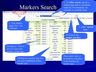 2. To refine search, specify a
                                            marker type and/or a taxonomy
              Markers Search                (species). For taxonomy use
                                            common or scientific name.




  1. Type marker
  name. Use * for
                                                            3. Click “search
  wildcards.
                                                                 icon.”

                                              Or Click to run
                                              sample searches.



Clicking on “Search”
lets you search for
markers of that type.

                                            These tables show a
           Clicking on a marker type lets   breakdown of markers
           you view a definition of that    in the database by
           marker type.                     marker type.
 