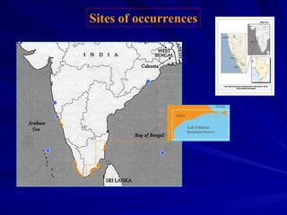 Sites of occurrences
 