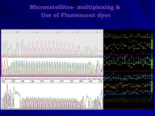 Microsatellites- multiplexing &
   Use of Fluorescent dyes
 
