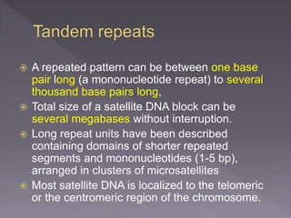  A repeated pattern can be between one base
pair long (a mononucleotide repeat) to several
thousand base pairs long,
 Total size of a satellite DNA block can be
several megabases without interruption.
 Long repeat units have been described
containing domains of shorter repeated
segments and mononucleotides (1-5 bp),
arranged in clusters of microsatellites
 Most satellite DNA is localized to the telomeric
or the centromeric region of the chromosome.
 