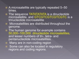  A microsatellite are typically repeated 5–50
times.
 The sequence TATATATATA is a dinucleotide
microsatellite, and GTCGTCGTCGTCGTC is a
trinucleotide microsatellite
 Microsatellites are distributed throughout the
genome.
 The human genome for example contains
50,000–100,000 dinucleotide microsatellites,
and lesser numbers of tri-, tetra- and
pentanucleotide microsatellites.
 Many are in non-coding region
 Some can also be located in regulatory
regions and coding regions.
 