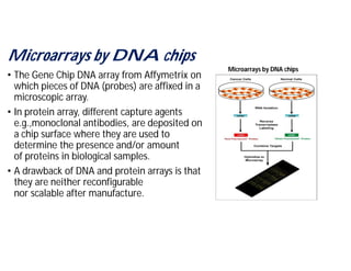 Microscale bioprocessing | PDF