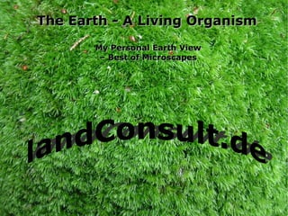 The Earth - A Living Organism My Personal Earth View – Best of Microscapes 