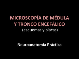 MICROSCOPÍA DE MÉDULA
Y TRONCO ENCEFÁLICO
(esquemas y placas)
Neuroanatomía Práctica
 