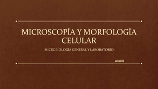 MICROSCOPÍA Y MORFOLOGÍA
        CELULAR
    MICROBIOLOGÍA GENERAL Y LABORATORIO


                                          Anerol
 