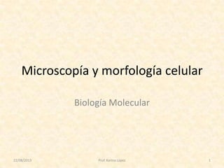 Microscopía y morfología celular
Biología Molecular
22/08/2013 1Prof. Karina López
 