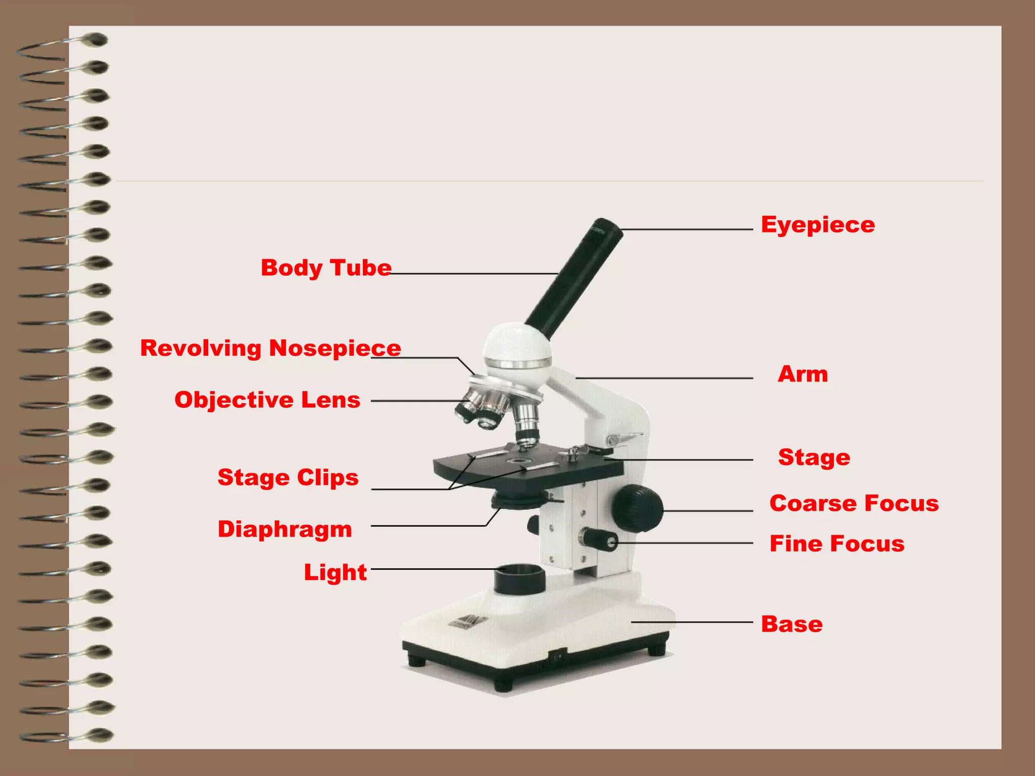 Eyepiece Body   Tube Revolving   Nosepiece Arm Objective   Lens Stage Stage   Clips Coarse   Focus Fine   Focus Base Diaphragm Light 