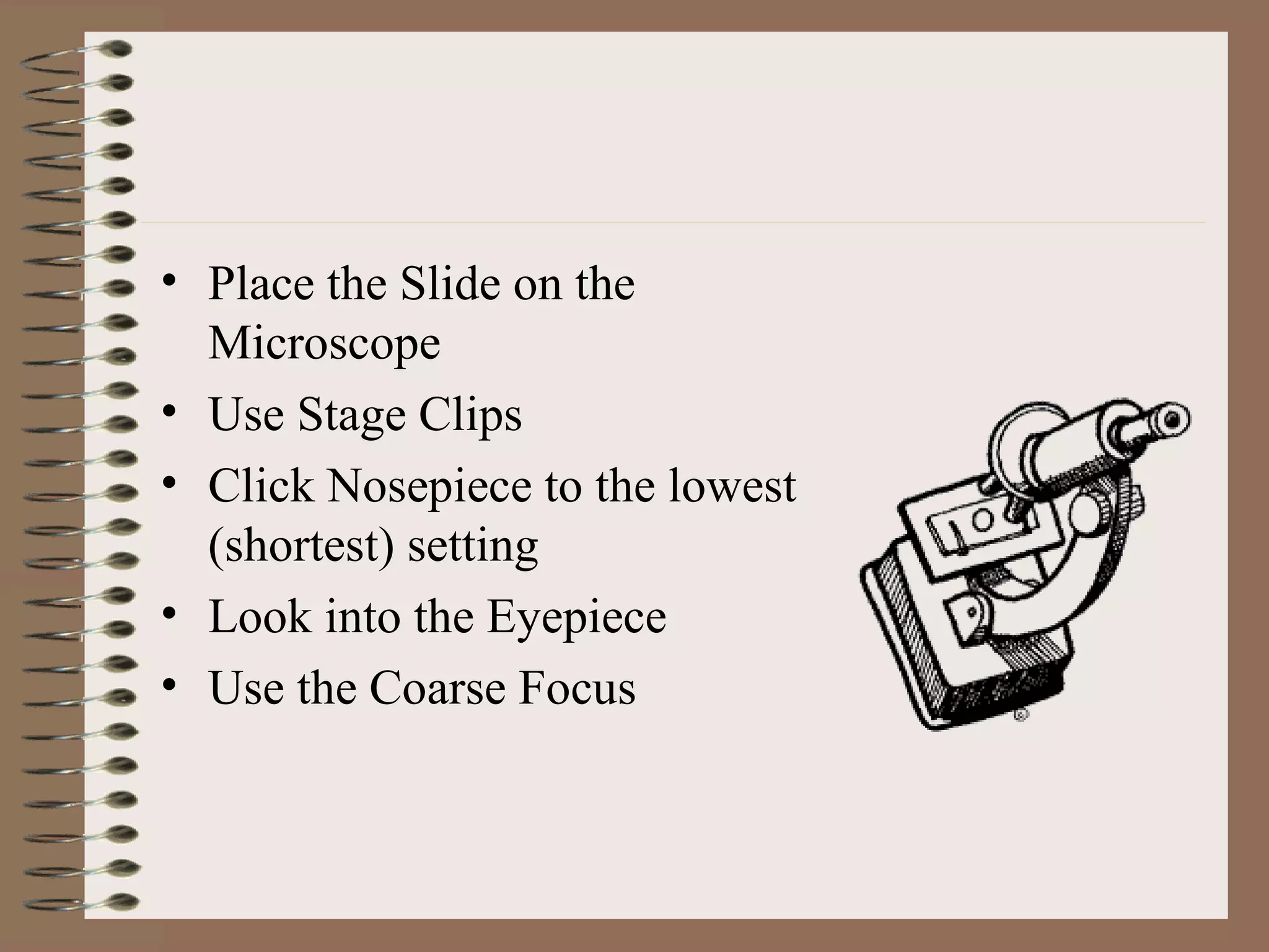 Place the Slide on the Microscope Use Stage Clips  Click Nosepiece to the lowest (shortest) setting Look into the Eyepiece Use the Coarse Focus 