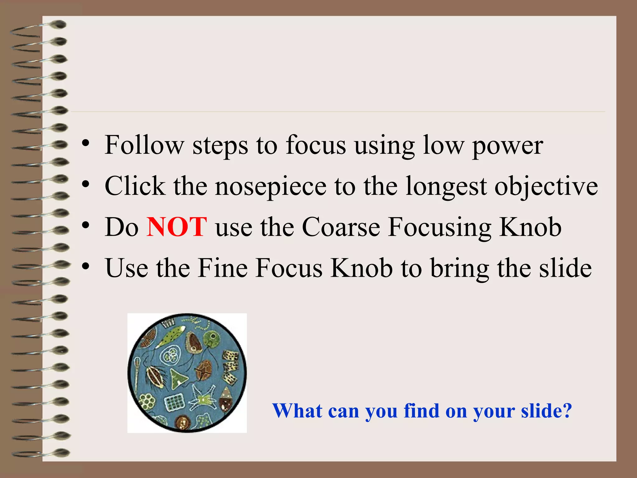 Follow steps to focus using low power Click the nosepiece to the longest objective Do  NOT   use the Coarse Focusing Knob Use the Fine Focus Knob to bring the slide What can you find on your slide? 