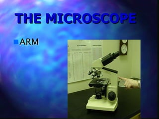 Microscope | PPT