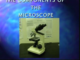 THE COMPONENTS OF  THE MICROSCOPE 