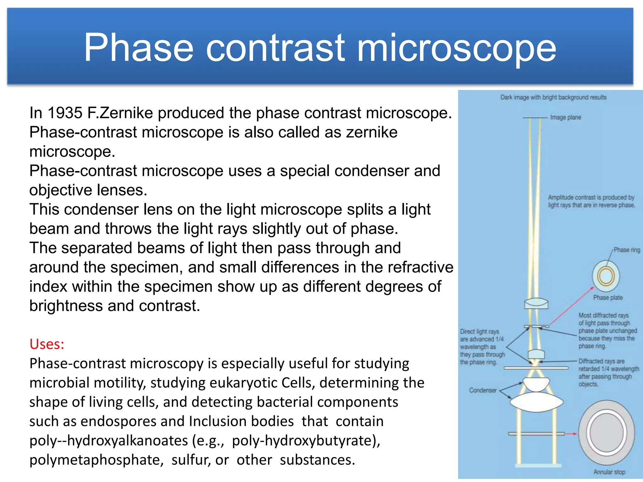 Phase contrast microscope
In 1935 F.Zernike produced the phase contrast microscope.
Phase-contrast microscope is also called as zernike
microscope.
Phase-contrast microscope uses a special condenser and
objective lenses.
This condenser lens on the light microscope splits a light
beam and throws the light rays slightly out of phase.
The separated beams of light then pass through and
around the specimen, and small differences in the refractive
index within the specimen show up as different degrees of
brightness and contrast.

Uses:
Phase-contrast microscopy is especially useful for studying
microbial motility, studying eukaryotic Cells, determining the
shape of living cells, and detecting bacterial components
such as endospores and Inclusion bodies that contain
poly--hydroxyalkanoates (e.g., poly-hydroxybutyrate),
polymetaphosphate, sulfur, or other substances.
 