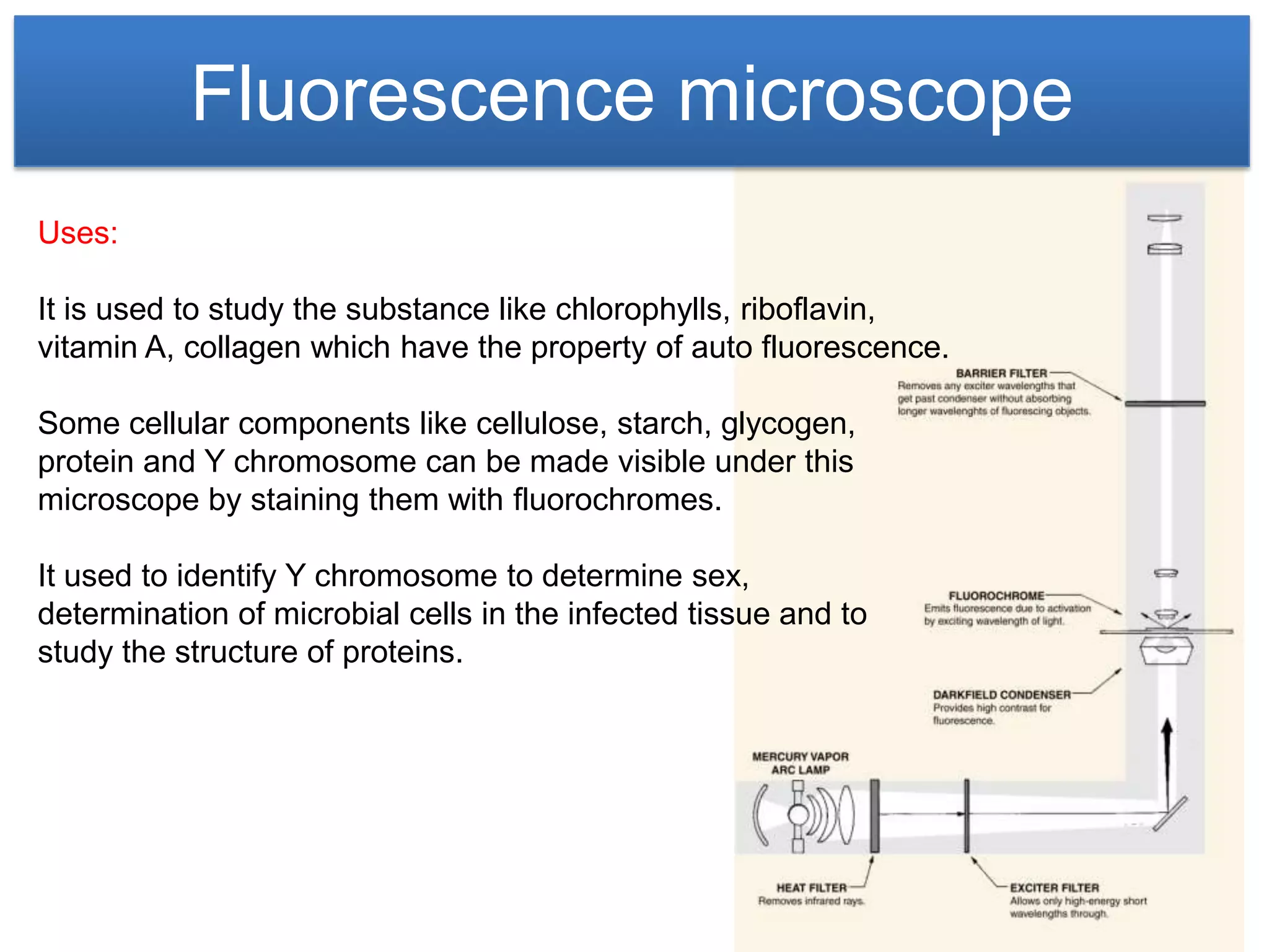 Fluorescence microscope
Uses:

It is used to study the substance like chlorophylls, riboflavin,
vitamin A, collagen which have the property of auto fluorescence.

Some cellular components like cellulose, starch, glycogen,
protein and Y chromosome can be made visible under this
microscope by staining them with fluorochromes.

It used to identify Y chromosome to determine sex,
determination of microbial cells in the infected tissue and to
study the structure of proteins.
 