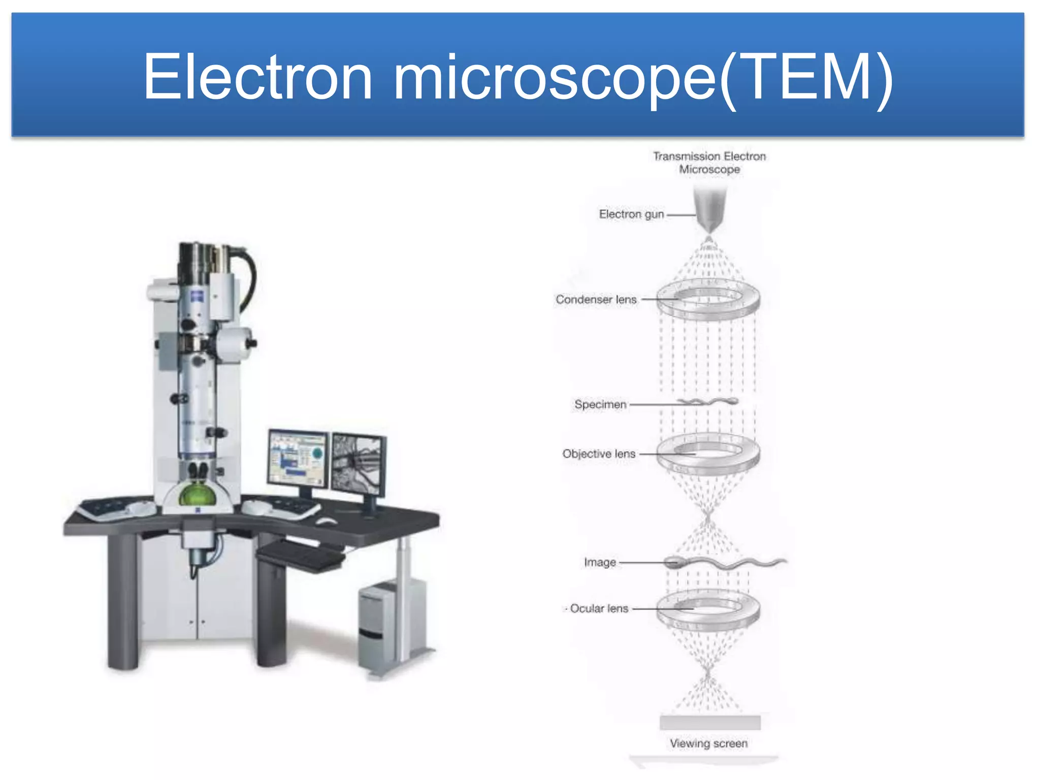 Electron microscope(TEM)
 