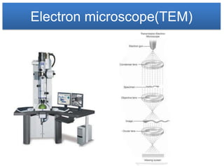 Electron microscope(TEM)
 
