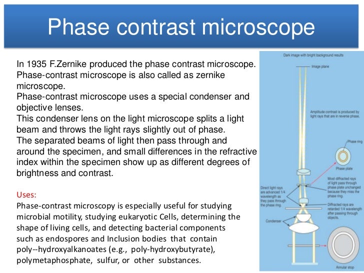 Microscope