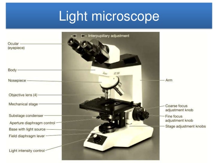 Microscope