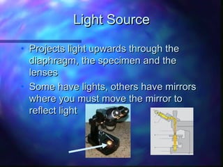 Light Source

• Projects light upwards through the
  diaphragm, the specimen and the
  lenses
• Some have lights, others have mirrors
  where you must move the mirror to
  reflect light
 