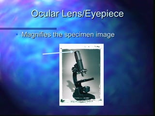 Ocular Lens/Eyepiece

• Magnifies the specimen image
 