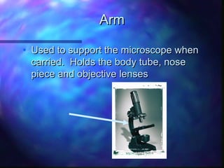 Arm

• Used to support the microscope when
  carried. Holds the body tube, nose
  piece and objective lenses
 