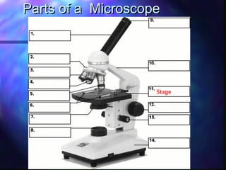 Parts of a Microscope




                    Stage
 