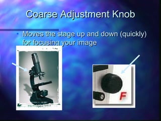 Coarse Adjustment Knob
• Moves the stage up and down (quickly)
  for focusing your image
 