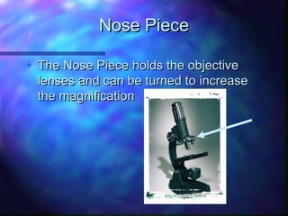 Nose Piece

• The Nose Piece holds the objective
  lenses and can be turned to increase
  the magnification
 