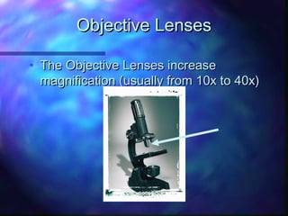 Objective Lenses

• The Objective Lenses increase
  magnification (usually from 10x to 40x)
 