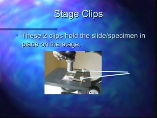 Stage Clips

• These 2 clips hold the slide/specimen in
  place on the stage.
 