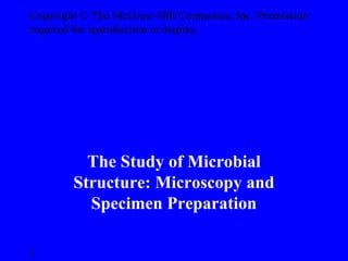 Copyright © The McGraw-Hill Companies, Inc. Permission
required for reproduction or display.
1
The Study of Microbial
Structure: Microscopy and
Specimen Preparation
 