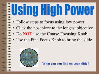 •
•
•
•

Follow steps to focus using low power
Click the nosepiece to the longest objective
Do NOT use the Coarse Focusing Knob
Use the Fine Focus Knob to bring the slide

What can you find on your slide?

 