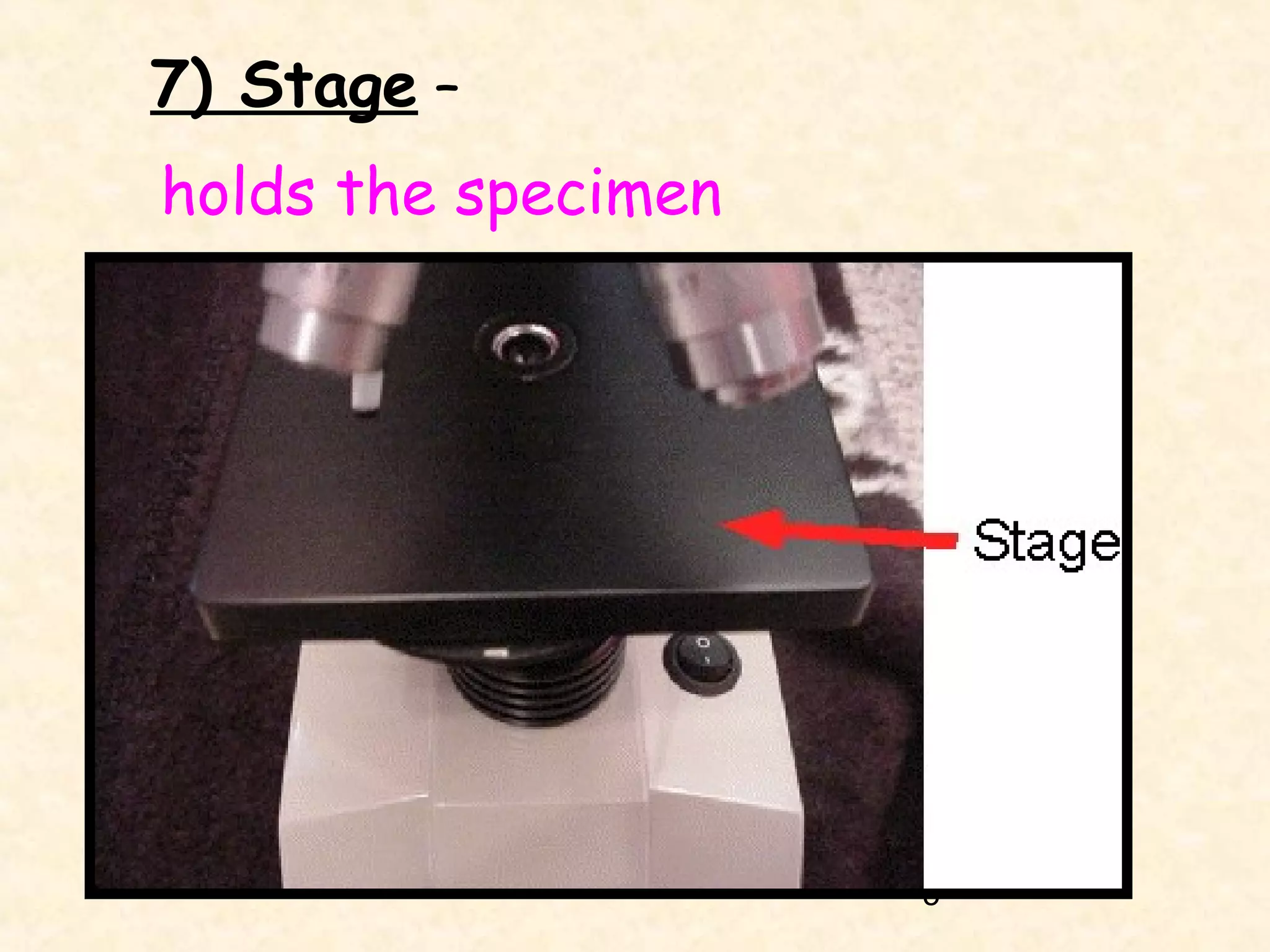 7) Stage –
holds the specimen

5

 