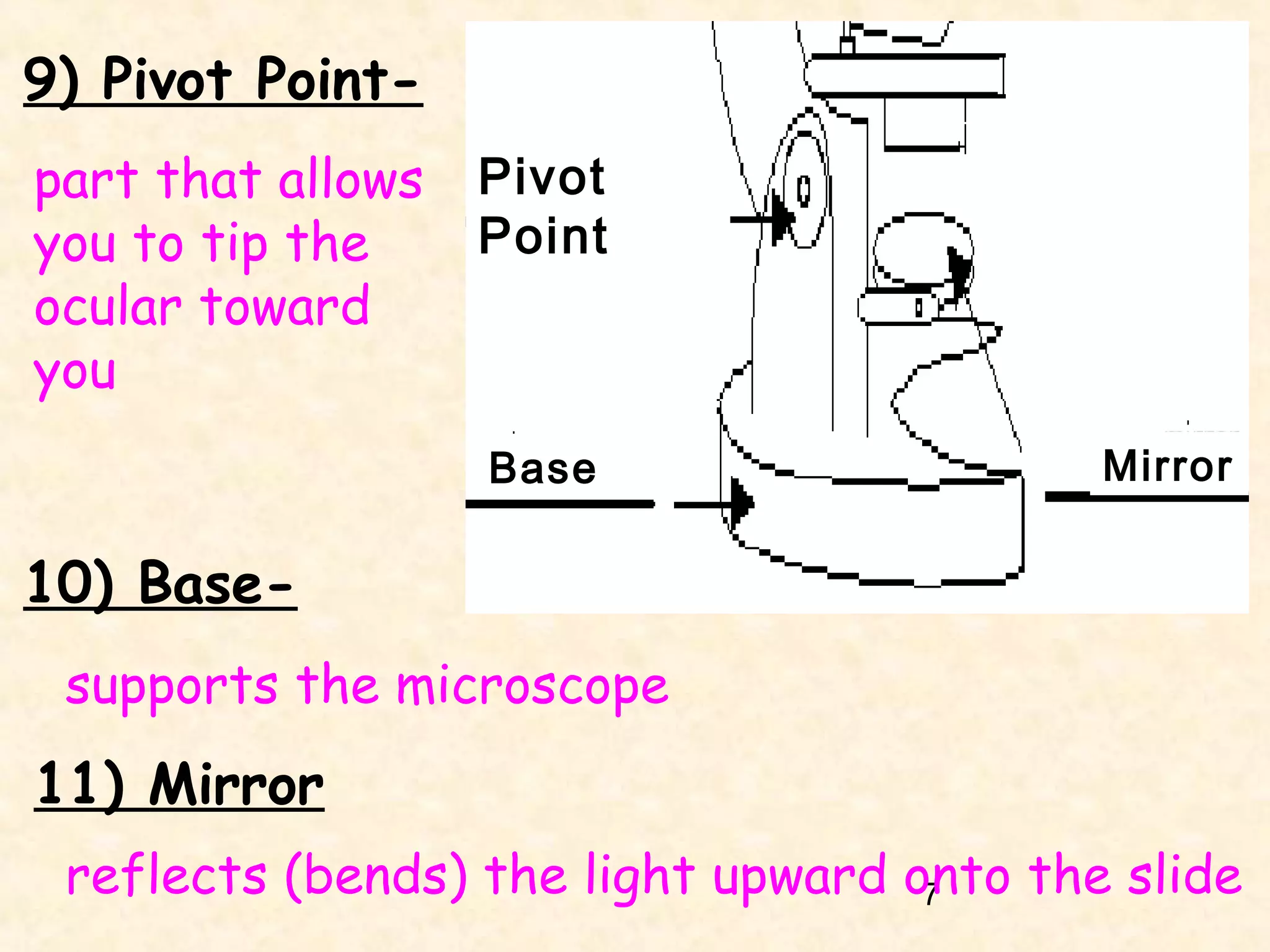 9) Pivot Pointpart that allows
you to tip the
ocular toward
you

Pivot
Point

Base

Mirror

10) Basesupports the microscope

11) Mirror
reflects (bends) the light upward onto the slide
7

 