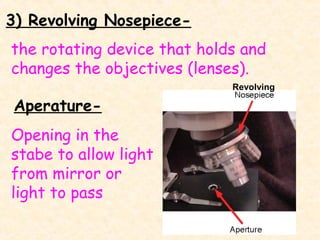 3) Revolving Nosepiecethe rotating device that holds and
changes the objectives (lenses).
Revolving

AperatureOpening in the
stabe to allow light
from mirror or
light to pass
3

 