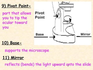 9) Pivot Pointpart that allows
you to tip the
ocular toward
you

Pivot
Point

Base

Mirror

10) Basesupports the microscope

11) Mirror
reflects (bends) the light upward onto the slide
7

 